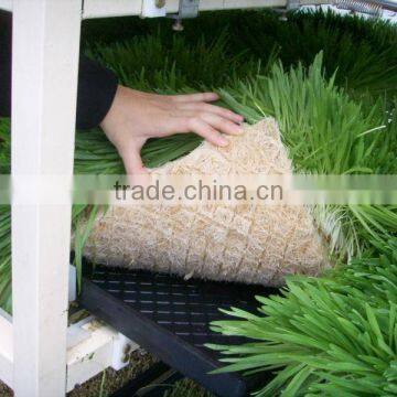 BK Conveyor Culture photo-2