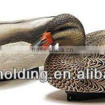 Guandong large blow mold plastic duck decoys