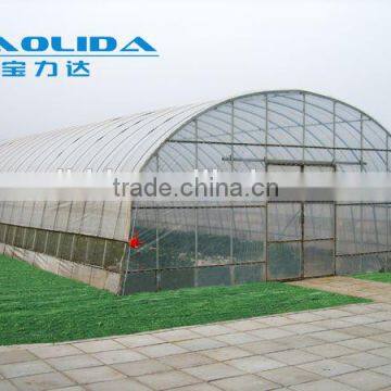 Baolida Simple Tunnel Greenhouse Used Greenhouse photo-3