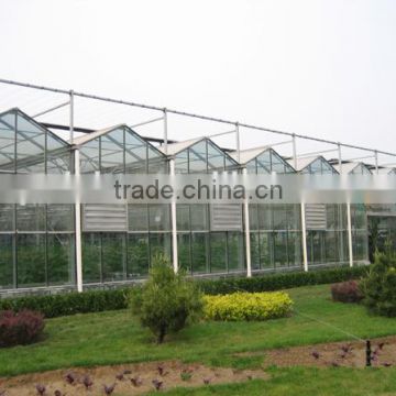 Qualified Galvanized-Steel Multi-Span Agricultural Greenhouse