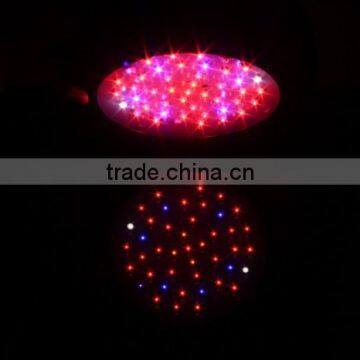 Best Thing to Sell Classical Style, Unbeatable Prices Green House 75w Hydroponic Grow Light photo-4