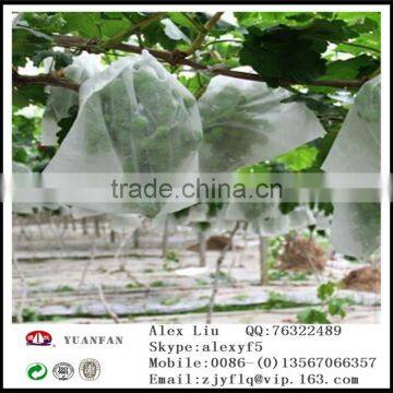 Anti-UV White pp Non Woven Fabrici Used in Plant Cover photo-2