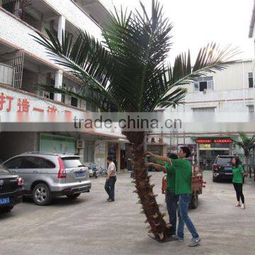 CHY020934 High Quality Palm Tree for Landscaping Decoration photo-3