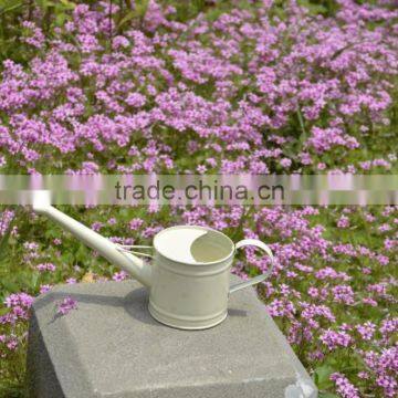 New Style Metal Watering Can With Printing photo-3