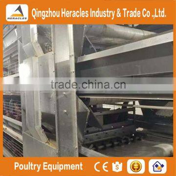 Best Quality Automatic Cage Chicken-poultry Breeding Equipment of H Type 4 or 5 Tiers photo-6