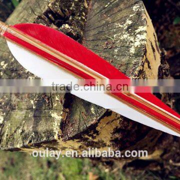 110cm Rainbow Tonkin Bamboo Long Arrows