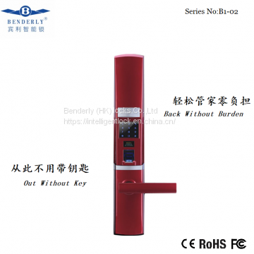 Korea North Market Durable Modeling Fingerprint Lock (website:bessie_wu077)