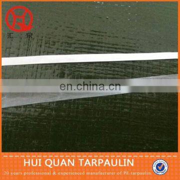 PE tarpaulin sheetgreen poly tarp coated canvas for Kenya,UK