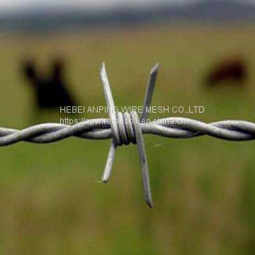 China Hebei Anping Manufacturer Barbed Wire Good Quality photo-5