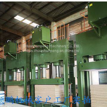 400 Ton Cold Press Wood Veneer Decorative Board Artificial Board Joinery Board photo-3