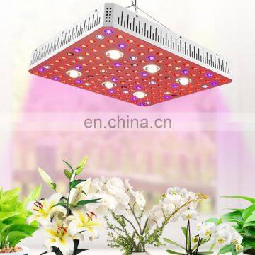 2020 New Arrivals Hydroponic Wholesale Full Spectrum 3000W LED COB Grow Light With Dual Switches photo-7