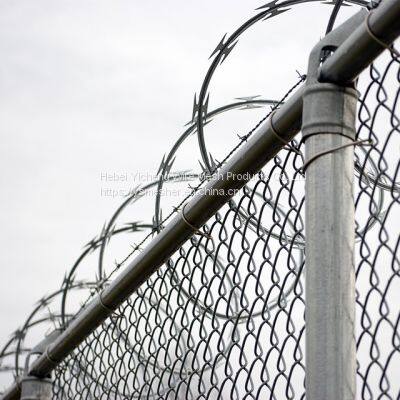 Low Price Concertina Hot Dipped Galvanized Razor Barbed Wire 5.01 Reviews photo-4
