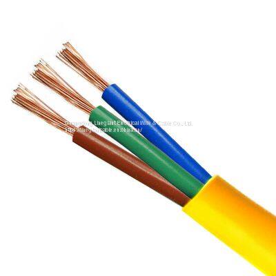 Copper Core PVC Insulated Wire for Home Appliance (BV) / Electric Wire/House Wire Cables photo-3
