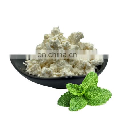 Highest quality Natural Spearmint Extract Peppermint Leaf Extract Powder