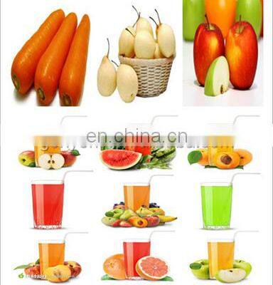 Best Price Fruit Vegetable Paste Juice Making Equipment in China Food Concentration Machine photo-4