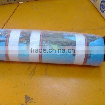 Printing Cheaper Poster Banner in China for for Pop Star/baby/ Religion/football photo-4