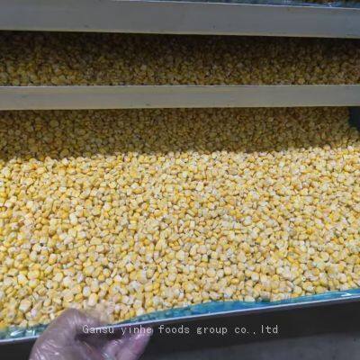 Factory's Hot Selling Freeze Dried Sweet Corn photo-4