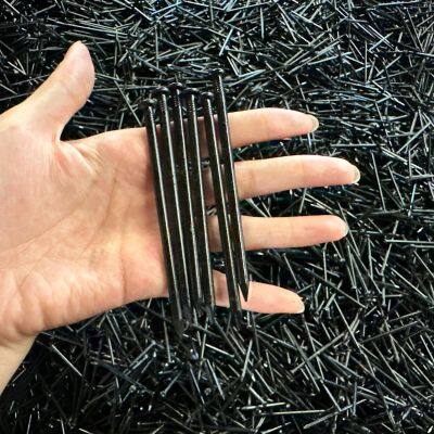 Black Steel Nails With Consistent Gauge and Length Precision photo-5