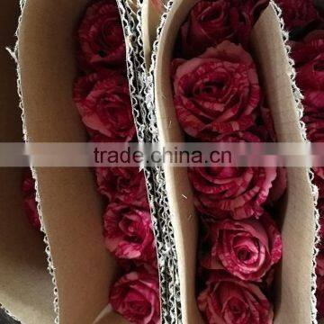 Fresh best selling rainbow preserved rose
