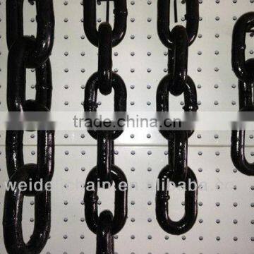 chain for lifting lifting chain