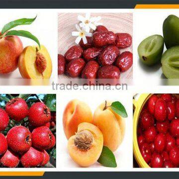 Leader Automatic Pineapple Peeling Juice Machine With Website:leaderservice005 photo-4