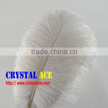 White Colour Party Ostrich Feathers, Ostrich Plumes Feathers, Dyed Ostrich Plumes for Wholesale