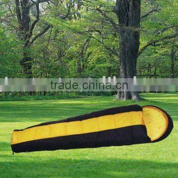 Sleeping bag