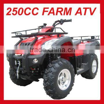 NEW 250CC QUAD ATV HIGH QUALITY(MC-373)