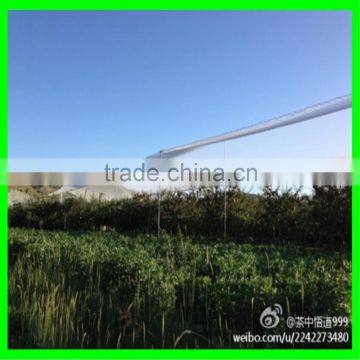 Yemen Selvage Anti Hail Net /100% Virgin HDPE Knitted Anti Hail Net photo-3