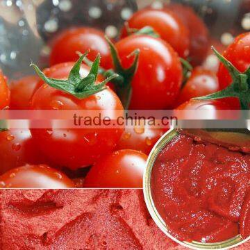 Easy Open Can Lid Tomato Paste With 850g photo-5