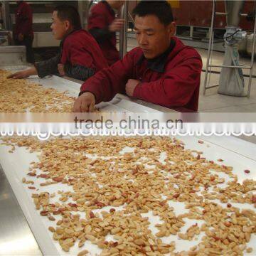 Peanut Manual Sorting Belt Nut Picking Sorter Grain Sorting Equipment photo-3