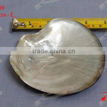 Shell / MOP Plate