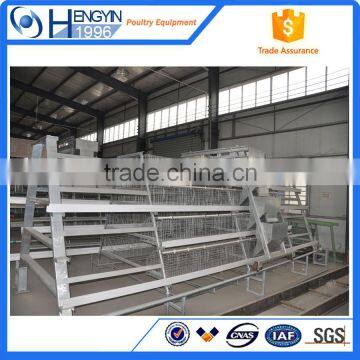 Egg layer cages system automated battery cage