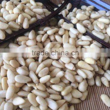 New Crop Chinese Pinenut Kernels photo-2