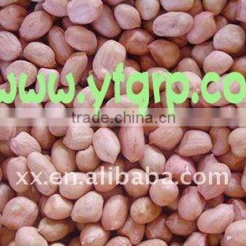 best price of peanut seed