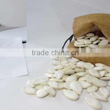 Pumpkin seeds pure white snow white pumpkin seeds lower price in bulk pepitas