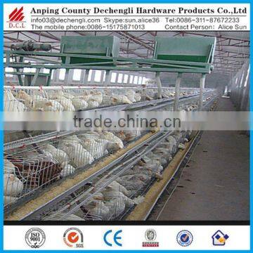 Anping factory design galvanized layer chicken cages