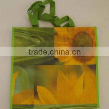 Reusable PP Woven Shopping Bag(KL08S003)