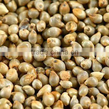 Best quality millet suppliers