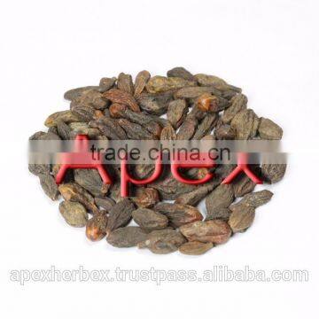 Terminalia Chebula / Harrad / Black Himej photo-6