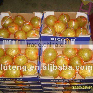 Chinese Bulk Fresh Honey Pomelo Fruit