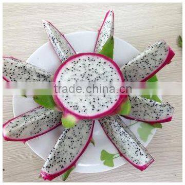 Dragon Fruit