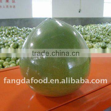 Top quality Fresh Honey pomelo;Low price