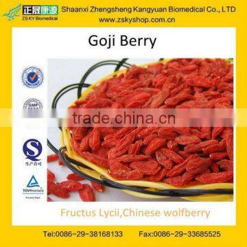 GMP Factory Supply High Quality Import Goji Berries