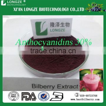 100% Natural Bilberry extract dried fruit powder with 25% anthocyanidins medicine use