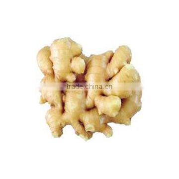 China Spice Vegetable of Fresh Ginger in Hot Sale