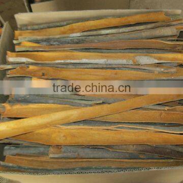 VIETNAM SPLIT CASSIA