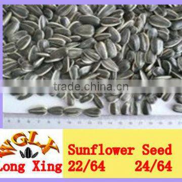 New Crop Round Shape Sunflower Seeds 118