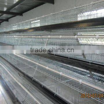 OEM Service Bird Cage Wire Mesh Nice Quality