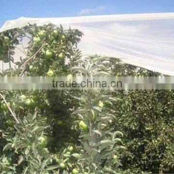 anti hail plastic mesh net for garden